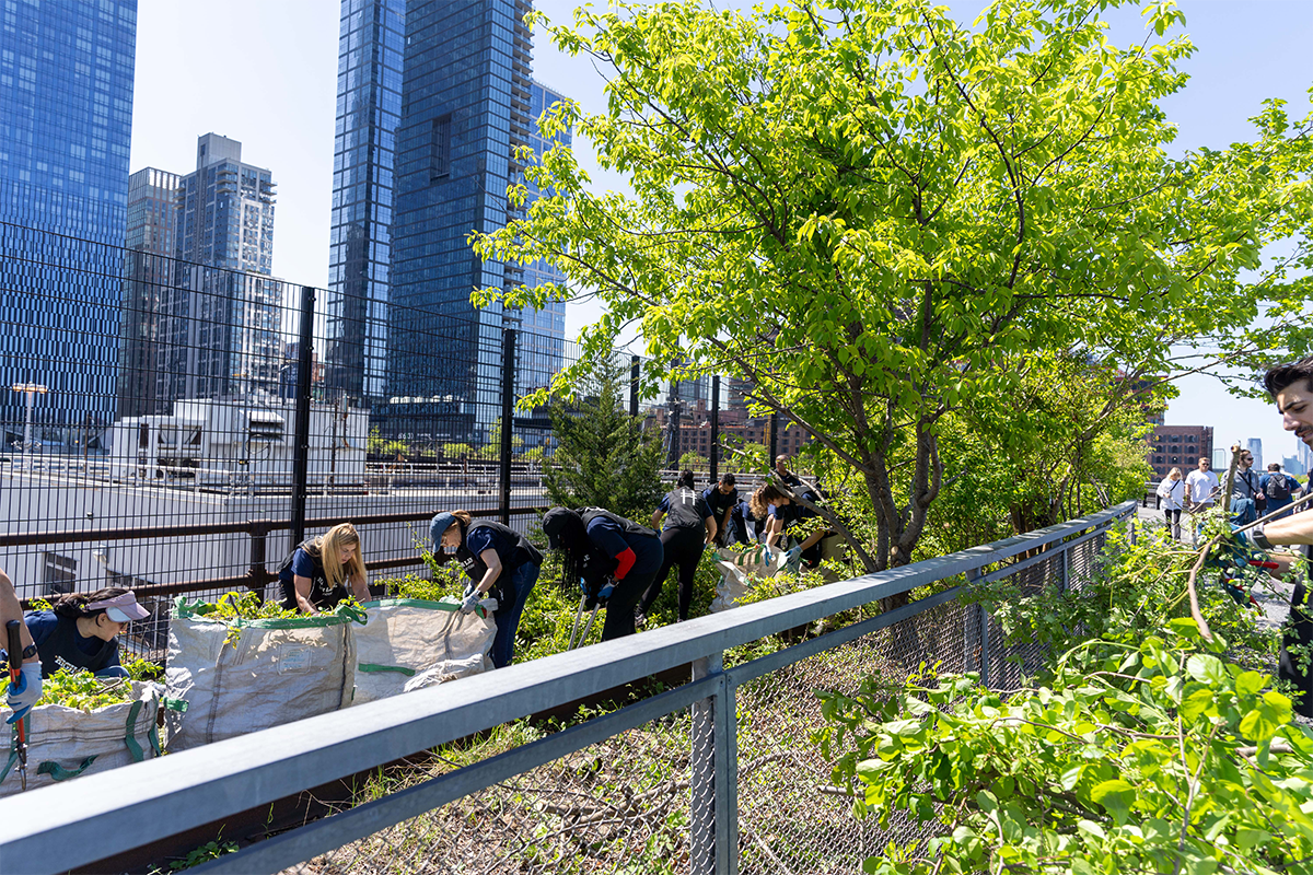 W. P. Carey employees volunteering on the NYC High Line