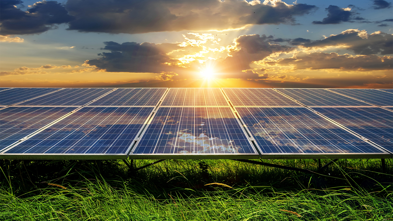 Solar panels on grass with the sun rising in a cloudy sky.