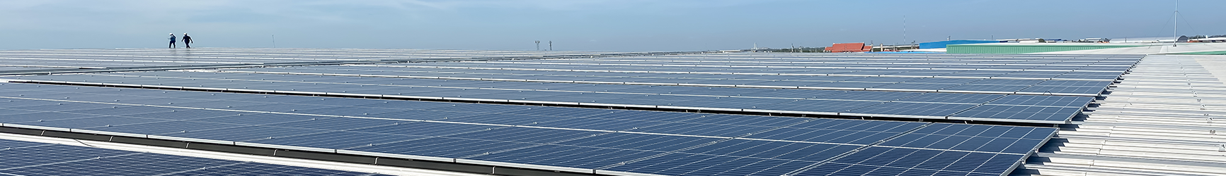 Two individuals walking near a wide field of solar panels.