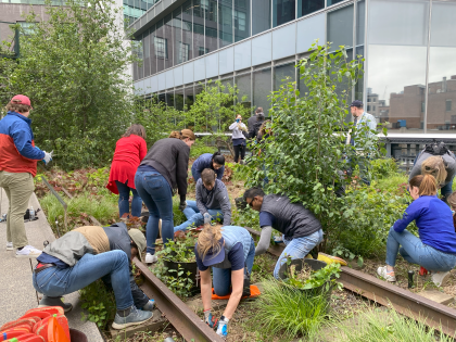 WPC employees gardening on the NYC highline during a day of volunteering.