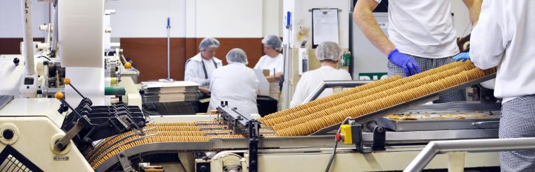 Case Study - Leading Food Production Manufacturer