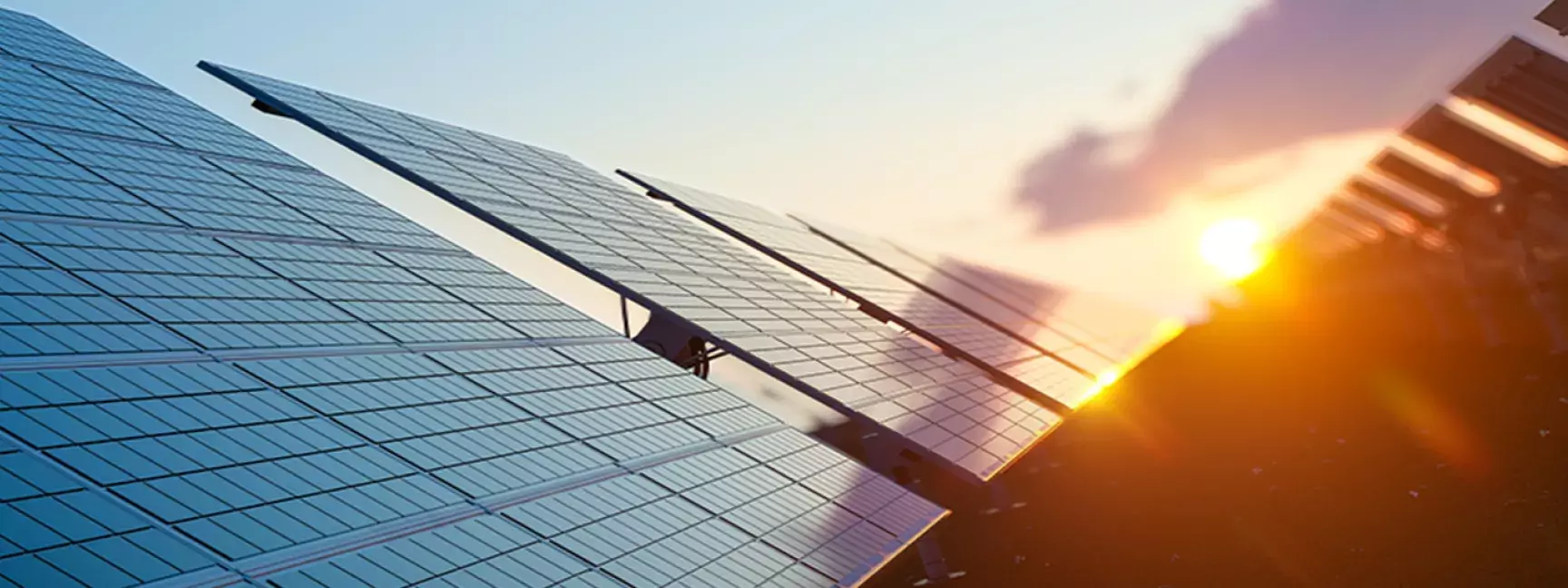 The sun setting on a field of solar panels, representing those installed by W. P. Carey's CareySolar program