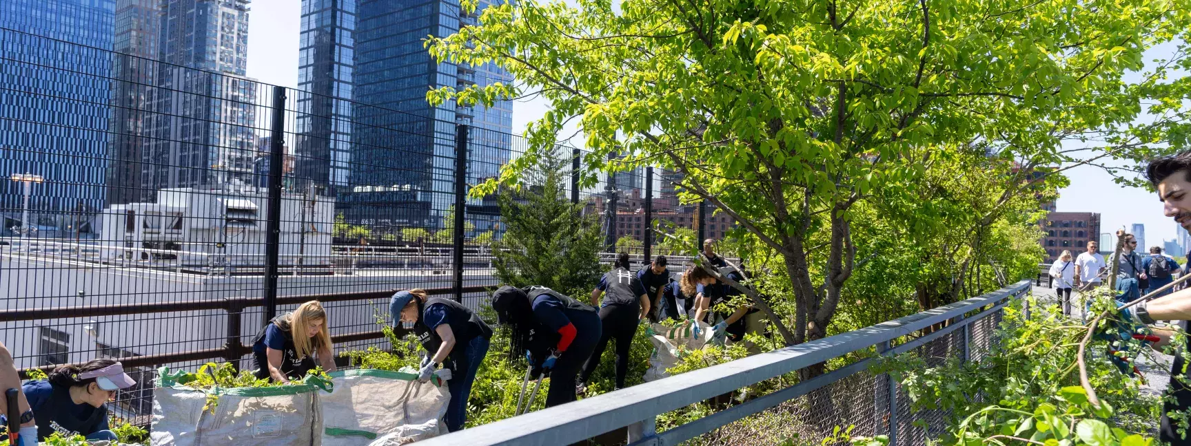 wpcarey_highline_gardening_event